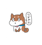 柴犬コロちゃんのスタンプ（個別スタンプ：21）