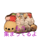 my friends dayooo（個別スタンプ：2）