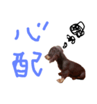 文字など（個別スタンプ：3）