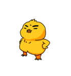 King of the Chick（個別スタンプ：19）