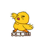 King of the Chick（個別スタンプ：21）