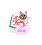 Crazy  Cat（個別スタンプ：2）