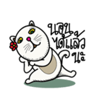 fat whitecat（個別スタンプ：2）