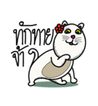 fat whitecat（個別スタンプ：4）