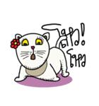 fat whitecat（個別スタンプ：14）