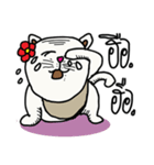 fat whitecat（個別スタンプ：15）