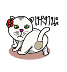 fat whitecat（個別スタンプ：18）