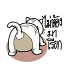 fat whitecat（個別スタンプ：19）