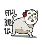 fat whitecat（個別スタンプ：28）