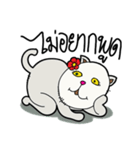 fat whitecat（個別スタンプ：35）