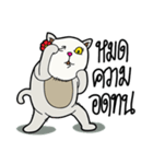 fat whitecat（個別スタンプ：36）