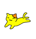 Milk yellow cat is coming！（個別スタンプ：14）