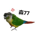 An Niu La parrots（個別スタンプ：11）