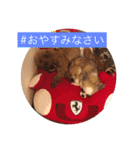 我が家の獣たち。（個別スタンプ：12）