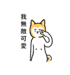 Uncle Shiba Inu（個別スタンプ：21）