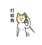 Uncle Shiba Inu（個別スタンプ：34）