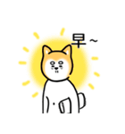 Uncle Shiba Inu（個別スタンプ：39）