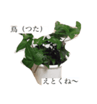 garden＆（個別スタンプ：6）