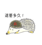 Hedgehog's dreamland（個別スタンプ：1）