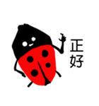 Funny Ladybug（個別スタンプ：11）