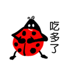 Funny Ladybug（個別スタンプ：20）