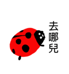 Funny Ladybug（個別スタンプ：37）