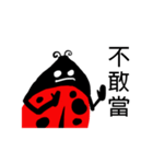 Funny Ladybug（個別スタンプ：40）