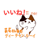 猫 タイ語勉強したい 日本タイ（個別スタンプ：3）