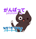 猫 タイ語勉強したい 日本タイ（個別スタンプ：5）