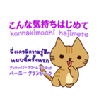 猫 タイ語勉強したい 日本タイ（個別スタンプ：8）