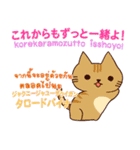 猫 タイ語勉強したい 日本タイ（個別スタンプ：24）