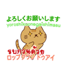 猫 タイ語勉強したい 日本タイ（個別スタンプ：38）