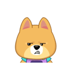 Borky shiba dog : daily set 3（個別スタンプ：1）