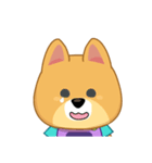 Borky shiba dog : daily set 3（個別スタンプ：9）