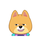 Borky shiba dog : daily set 3（個別スタンプ：10）