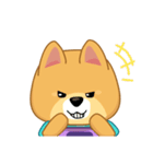 Borky shiba dog : daily set 3（個別スタンプ：12）