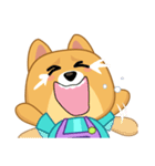 Borky shiba dog : daily set 3（個別スタンプ：13）