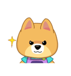 Borky shiba dog : daily set 3（個別スタンプ：16）