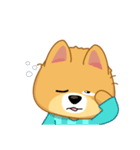 Borky shiba dog : daily set 3（個別スタンプ：17）