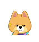 Borky shiba dog : daily set 3（個別スタンプ：18）