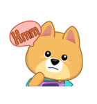 Borky shiba dog : daily set 3（個別スタンプ：19）