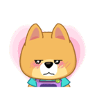 Borky shiba dog : daily set 3（個別スタンプ：20）