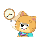 Borky shiba dog : daily set 3（個別スタンプ：23）