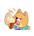 Borky shiba dog : daily set 3（個別スタンプ：24）