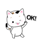 Q Ball CAT-毎日の記事（個別スタンプ：4）