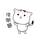 Q Ball CAT-毎日の記事（個別スタンプ：19）