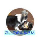 まさこの犬達（個別スタンプ：9）