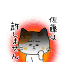 お名前シリーズ・トラ猫：佐藤さん用（個別スタンプ：13）
