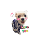 winnie puppy（個別スタンプ：3）