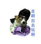 small fat dog（個別スタンプ：5）